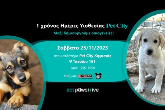 pet city
